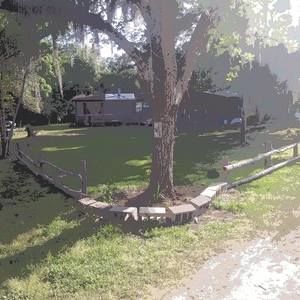 Meet your Posher, Ronald